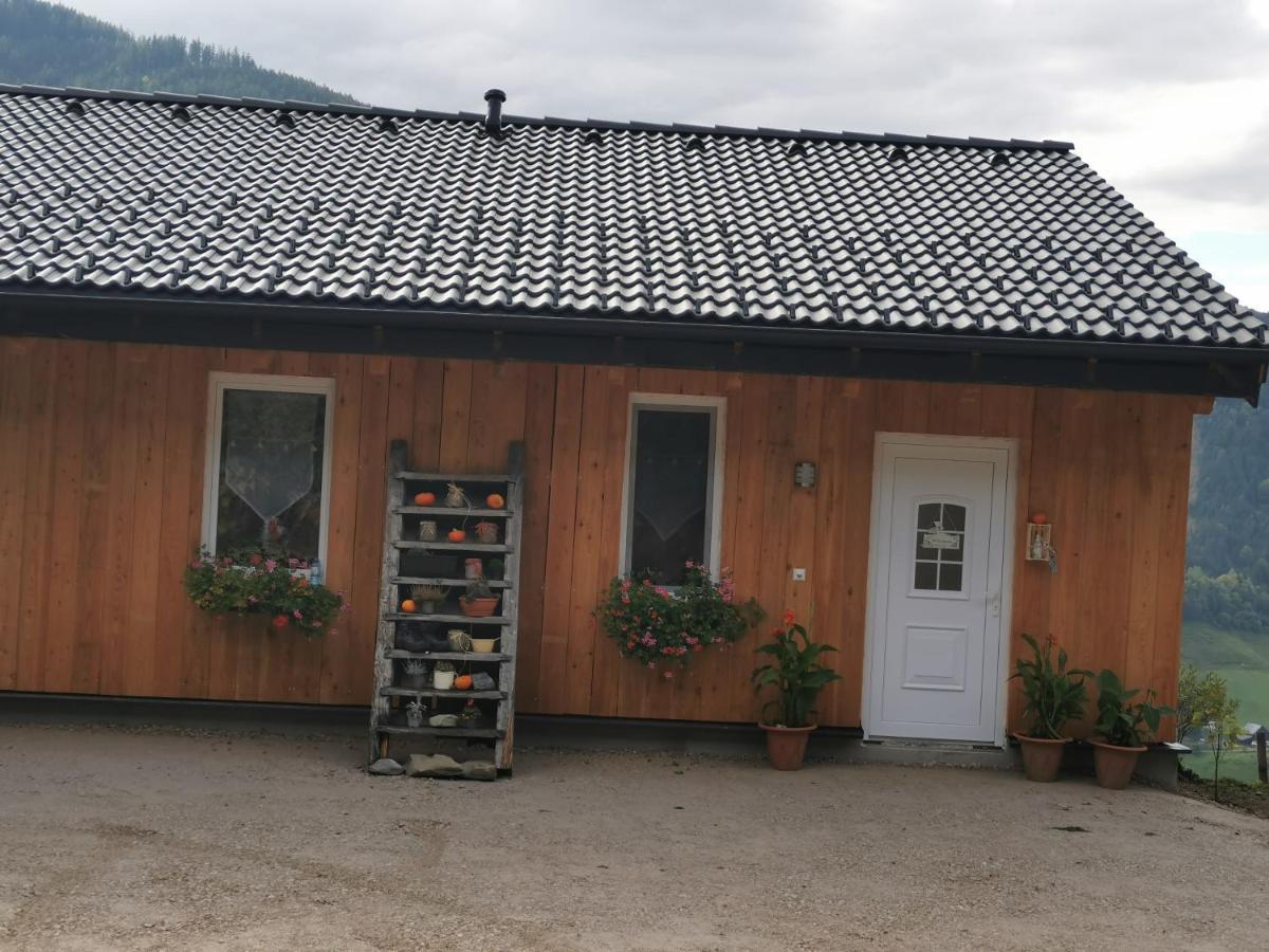Ferienwohnung Bergblick Hollnhof Donnersbach Exterior foto
